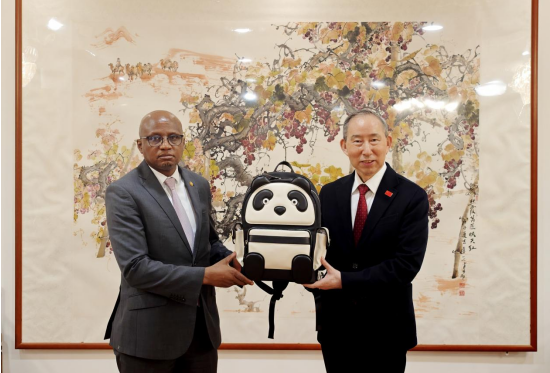 龙宇翔与莱索托王国驻华大使肯尼思·拉巴莱亲切会见