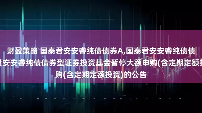 财盈策略 国泰君安安睿纯债债券A,国泰君安安睿纯债债券C: 国泰君安安睿纯债债券型证券投资基金暂停大额申购(含定期定额投资)的公告