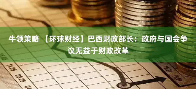 牛领策略 【环球财经】巴西财政部长：政府与国会争议无益于财政改革
