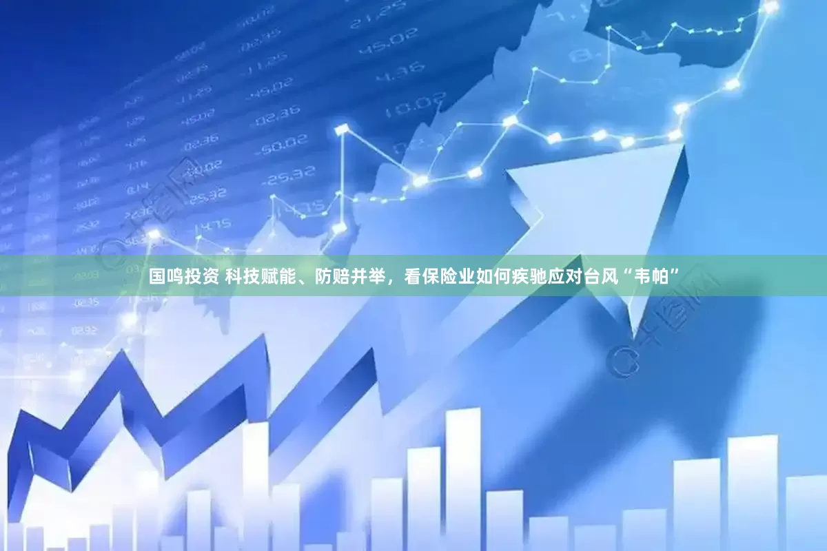 国鸣投资 科技赋能、防赔并举，看保险业如何疾驰应对台风“韦帕”