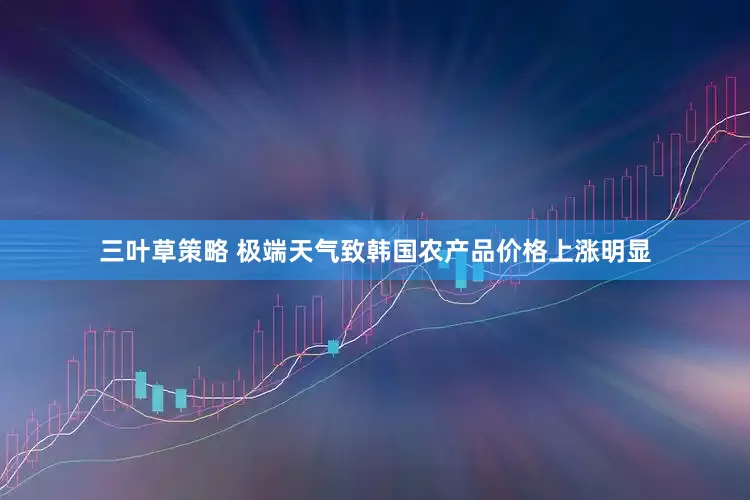 三叶草策略 极端天气致韩国农产品价格上涨明显