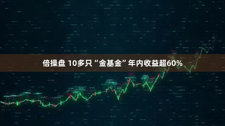 倍操盘 10多只“金基金”年内收益超60%