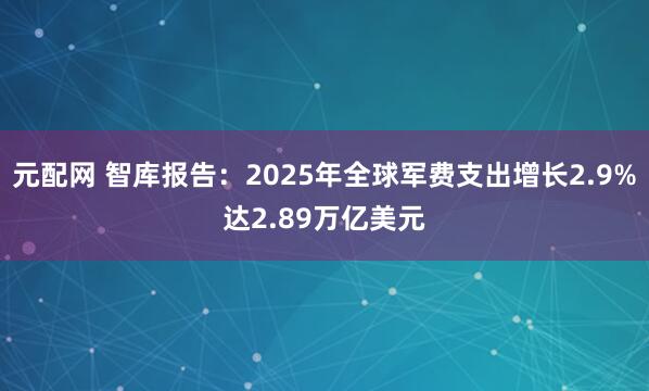 元配网 智库报告：2025年全球军费支出增长2.9%达2.89万亿美元